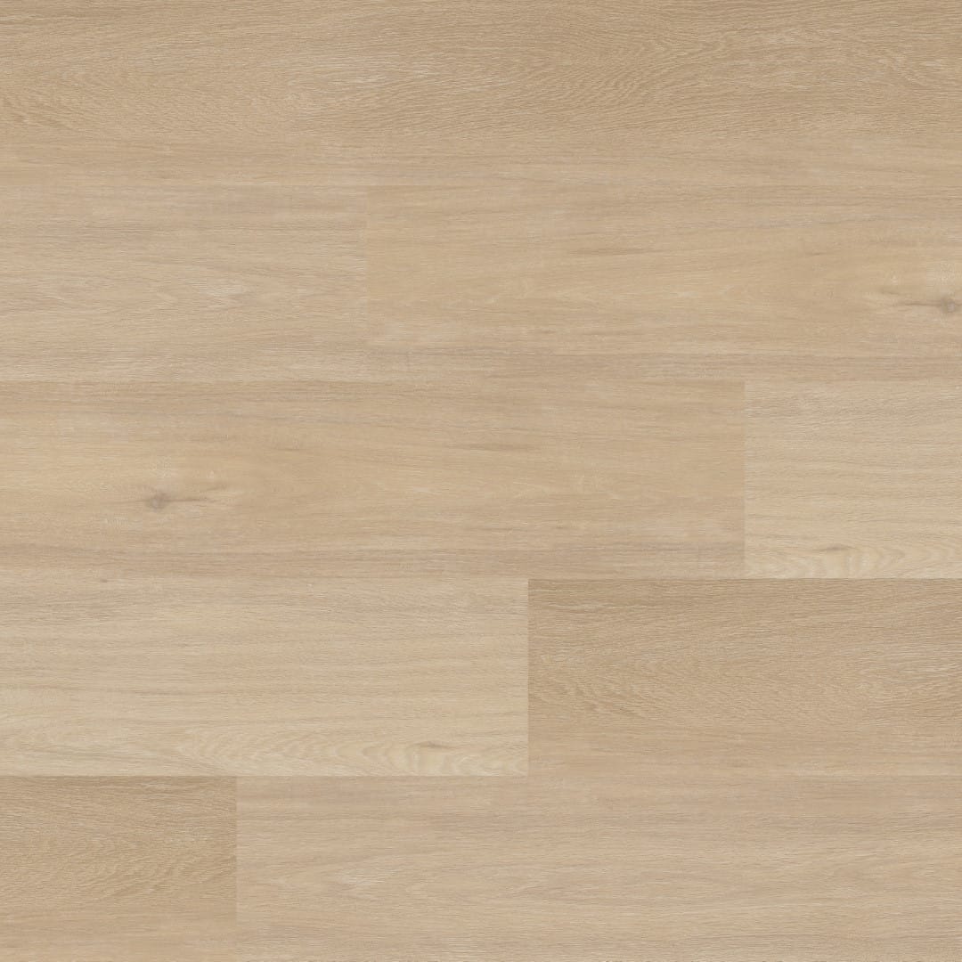 Therdex Chevron C12042 XL (Rigid click)