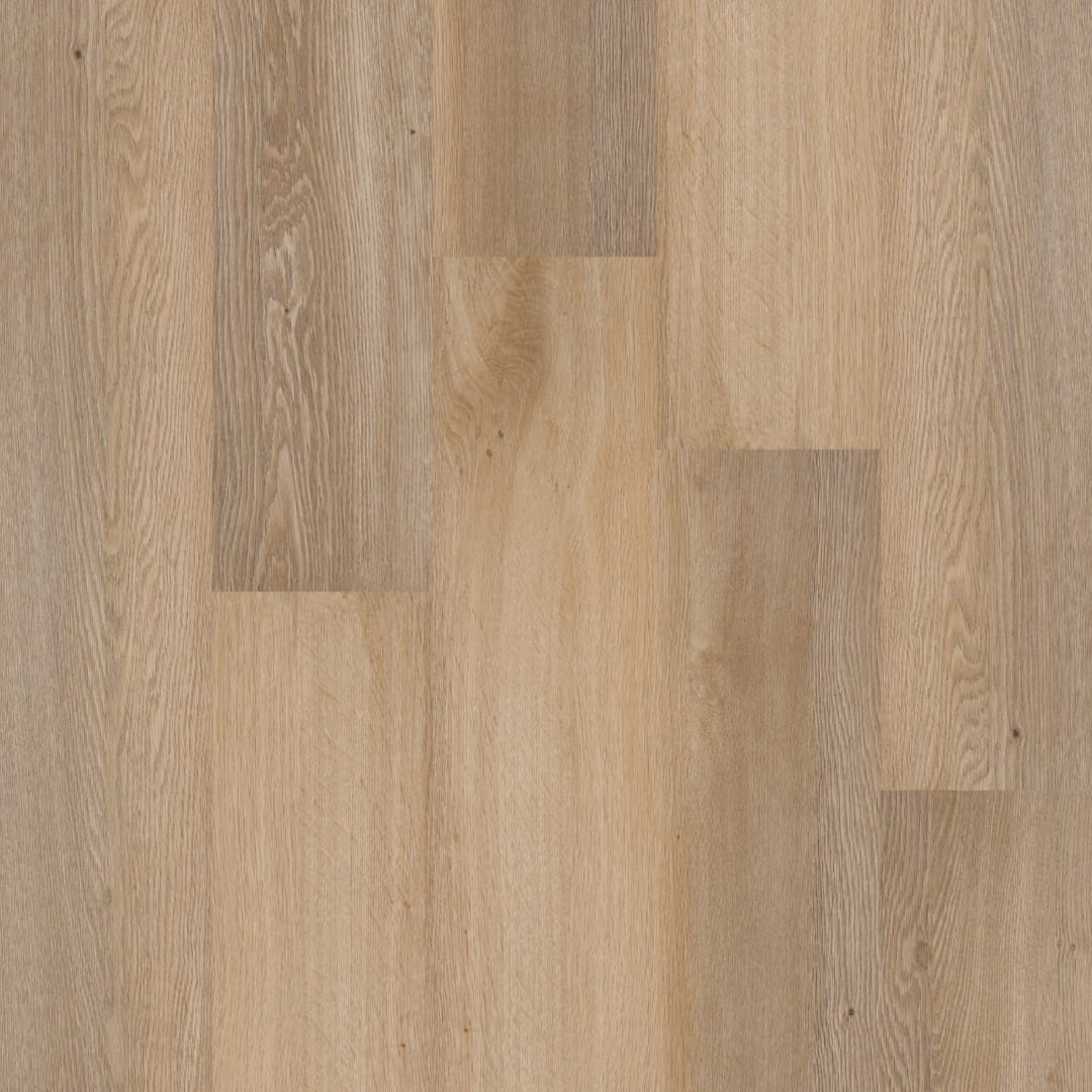 Therdex Premium 70040 XL (plak pvc)