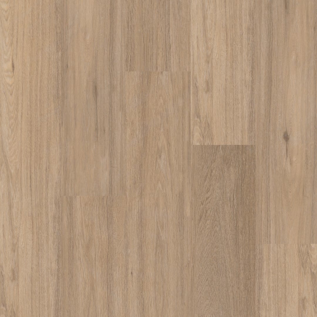 Therdex Regular² 3020 (plak pvc)