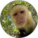 Erik van den Hoonaard profielfoto